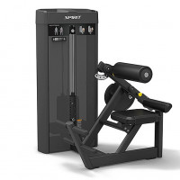 Разгибание спины SPIRIT SP-4310