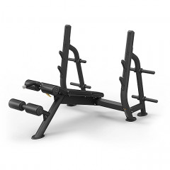 Олимпийская скамья с отрицательным углом наклона SPIRIT SP-4211