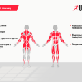 Силовой комплекс UNIX Fit BLOCK 50