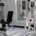 Разгибание ног Insight Fitness HS13