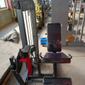 Разгибание ног Insight Fitness HS13
