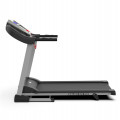Беговая дорожка DFC WALKER EVO PRO для реабилитации T-S1 PRO